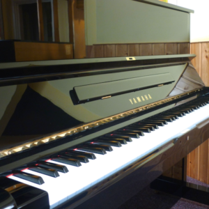 Yamaha U1 - Image 2